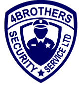 Security Professional